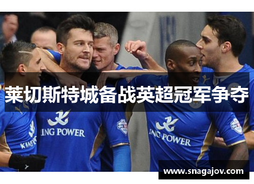 莱切斯特城备战英超冠军争夺